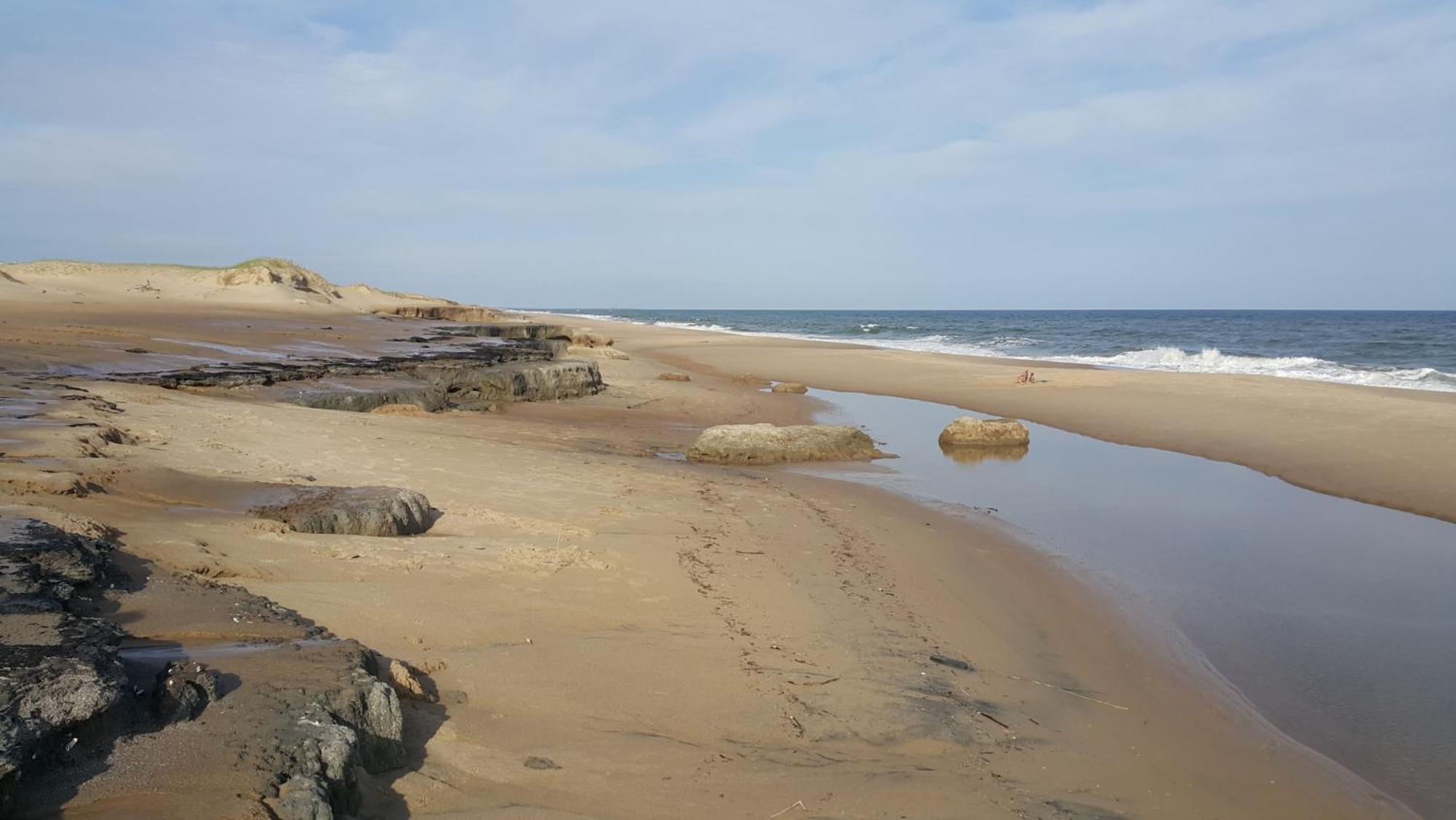 Posada Buscavida Close To Cabo Polonio, Oceania Del Polonio Rincón de los Oliveras エクステリア 写真